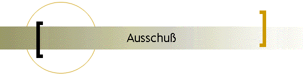 Ausschu