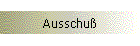 Ausschu