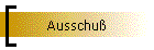 Ausschu
