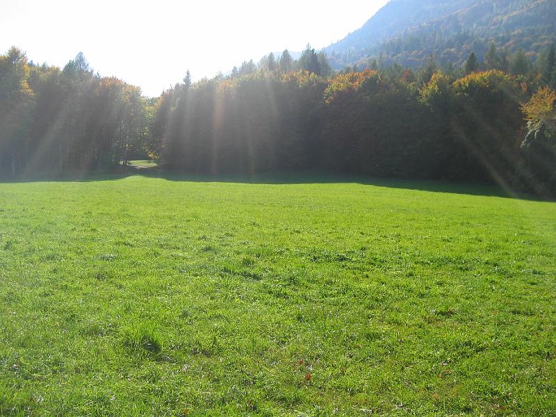 20081012-145638.jpg